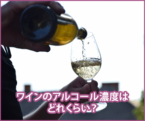 ワインのアルコール濃度はどれくらい？